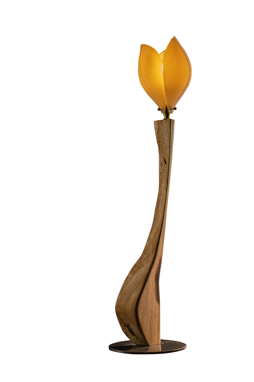 wooden Tulip light