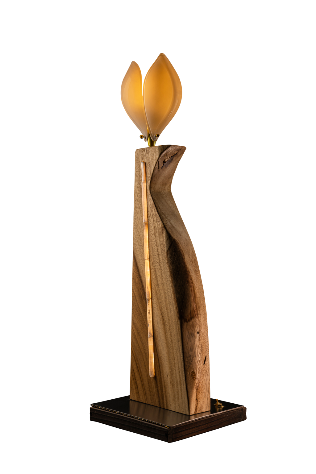 Glass Tulip Acacia Wood Lamp