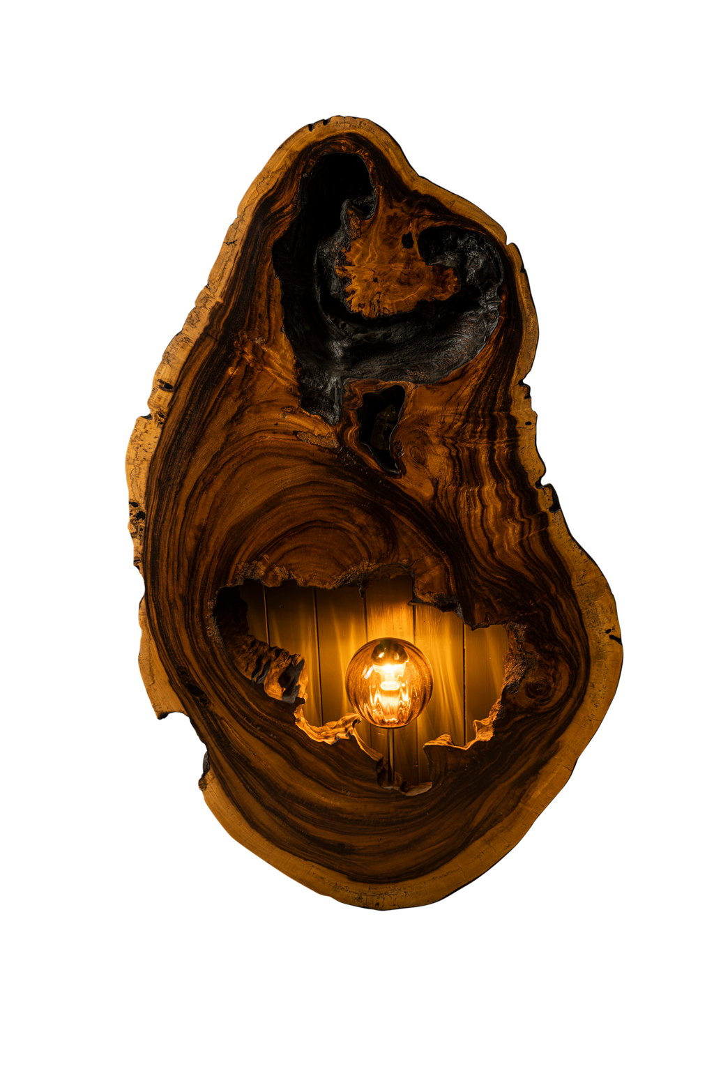 Acacia Burned Wood Turned Into Light